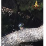 Maltempo a Genova, oltre cento interventi dei Vigili del Fuoco: alberi caduti e allagamenti in città