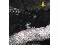 Maltempo a Genova, oltre cento interventi dei Vigili del Fuoco: alberi caduti e allagamenti in città Maltempo a Genova, oltre cento interventi dei Vigili del Fuoco: alberi caduti e allagamenti in città