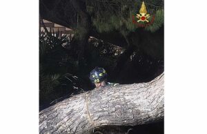 Maltempo a Genova, oltre cento interventi dei Vigili del Fuoco: alberi caduti e allagamenti in città Maltempo a Genova, oltre cento interventi dei Vigili del Fuoco: alberi caduti e allagamenti in città