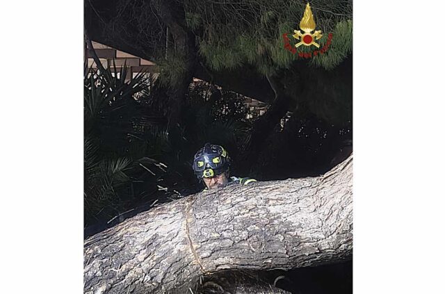 Maltempo a Genova, oltre cento interventi dei Vigili del Fuoco: alberi caduti e allagamenti in città Maltempo a Genova, oltre cento interventi dei Vigili del Fuoco: alberi caduti e allagamenti in città