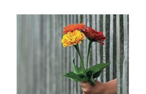 Stefania Magnone presenta “La cura” Dettaglio copertina "La cura" di Stefania Magnone