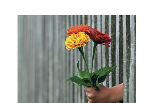 Stefania Magnone presenta “La cura” Dettaglio copertina "La cura" di Stefania Magnone