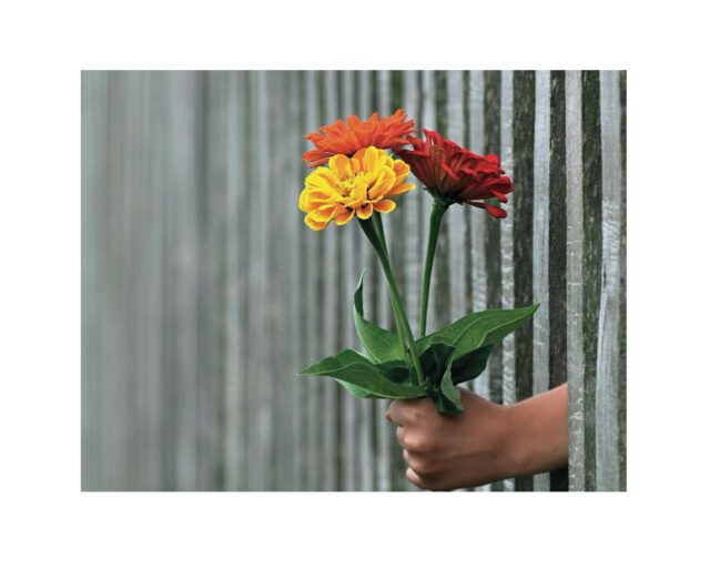 Dettaglio copertina "La cura" di Stefania Magnone