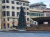 Genova accende il Natale 2025: a De Ferrari l’albero di luci e spettacolo per le feste Genova accende il Natale 2025: a De Ferrari l’albero di luci e spettacolo per le feste