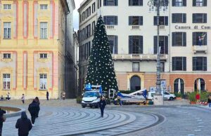 Albero di Natale 2025 in piazza De Ferrari: quanto costa, quando l’accensione e chi lo fornisce Albero di Natale 2025 in piazza De Ferrari: quanto costa, quando l’accensione e chi lo fornisce