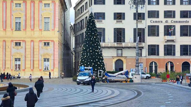 Albero di Natale 2025 in piazza De Ferrari: quanto costa, quando l’accensione e chi lo fornisce Albero di Natale 2025 in piazza De Ferrari: quanto costa, quando l’accensione e chi lo fornisce