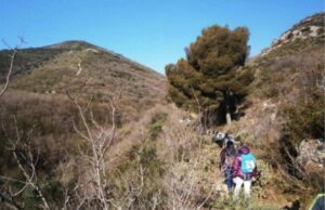 Arnasco, vivevano nel bosco: uomo trovato morto per cause naturali, compagna ricoverata in ipotermia Arnasco, vivevano nel bosco: uomo trovato morto per cause naturali, compagna ricoverata in ipotermia