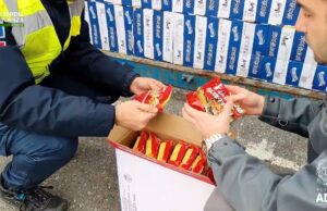 Porto di Genova-Prà, sequestrate oltre 85mila confezioni di noodles irregolari: contenevano proteine animali vietate Porto di Genova-Prà, sequestrate oltre 85mila confezioni di noodles irregolari: contenevano proteine animali vietate