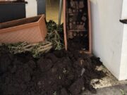 Chiavari, vandalizzata sede del Pd. Ghio: inneggiavano al Duce