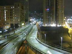 Cinghiali sulla Sopraelevata di Genova: strada chiusa e intervento della polizia locale Cinghiali sulla Sopraelevata di Genova: strada chiusa e intervento della polizia locale