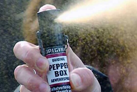 Savona, spruzza spray al peperoncino all’ex nonostante divieto di avvicinamento: arrestata Savona, spruzza spray al peperoncino all’ex nonostante divieto di avvicinamento: arrestata