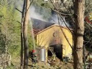 Incendio a Magnone, stalla in fiamme nel comune di Noli: intervento dei Vigili del Fuoco Salta al contenuto principaleVai alla barra degli strumenti Informazioni su WordPress Liguria Notizie 11 aggiornamento disponibile 00 commenti in moderazione Nuovo SEOInserisci una frase chiave per calcolare il punteggio SEO Cancella la cache LLAR Theme support Ciao, Luca Batt Impostazioni schermataAiuto Aggiungi articolo AdRotate has detected several issues that require la vostra attenzione: » 61 adverts expired! Controllo inserzioni! » 3 adverts have configuration errors! Controllo inserzioni! Aggiungi titolo Incendio a Magnone, stalla in fiamme nel comune di Noli: intervento dei Vigili del Fuoco Salta all'editor Permalink: https://www.ligurianotizie.it/incendio-a-magno…vigili-del-fuoco/2025/12/29/627941/ Modifica Aggiungi mediaVisualeCodice Titolo 2 Formati h2 Conteggio parole: 335 Salvataggio bozza... Sposta in altoSposta in bassoAttiva/disattiva il pannello: Immagine in evidenza Imposta immagine in evidenza Sposta in altoSposta in bassoAttiva/disattiva il pannello: Categorie Tutte le categorie Più utilizzate Consumatori Consumatori Genova Consumatori Imperia Consumatori Italia Consumatori La Spezia Consumatori Mondo Consumatori Savona Cronaca Cronaca Genova Cronaca Imperia Cronaca Italia Cronaca La Spezia Cronaca Mondo Cronaca Savona Cultura Cultura Genova Cultura Imperia Cultura Italia Cultura La Spezia Cultura Mondo Cultura Savona cultura Italia Economia Economia Genova Economia Imperia Economia Italia Economia La Spezia Economia Mondo Economia Savona Featured Gossip Hi-Tech Hi-Tech Genova Hi-Tech Imperia Hi-Tech Italia Hi-Tech La Spezia Hi-Tech Mondo Hi-Tech Savona Politica Politica Genova Politica Imperia Politica Italia Politica La Spezia Politica Mondo Politica Savona Senza categoria Spettacolo Spettacolo Genova Spettacolo Imperia Spettacolo Italia Spettacolo La Spezia Spettacolo Mondo Spettacolo Savona Sport Calcio Dilettanti Liguria Sport Genova Sport Imperia Sport Italia Sport La Spezia Sport Mondo Sport Savona + Aggiungi categoria Sposta in altoSposta in bassoAttiva/disattiva il pannello: Tag Aggiungi tag Separa i tag con delle virgole Scegli un tag fra quelli più utilizzati Sposta in altoSposta in bassoAttiva/disattiva il pannello: Pubblica Anteprima(si apre in una nuova scheda) Stato: Bozza ModificaModifica stato Visibilità: Pubblico ModificaModifica visibilità Pubblica il: 29 Dic 2025 alle 12:13 ModificaModifica data e ora SEO analysis: Non disponibile Readability analysis: Buona Sposta nel cestino Sposta in altoSposta in bassoAttiva/disattiva il pannello: Formato Formato articoli Standard Video Sposta in altoSposta in bassoAttiva/disattiva il pannello: Featured Video Paste a video link from Youtube, Vimeo, Dailymotion or Twitter, it will be embedded in the post and the thumb used as the featured image of this post. You need to choose Video Format from above to use Featured Video. Notice: Use only with those post templates: Post style default Post style 1 Post style 2 Post style 3 Post style 8 Find more about this feature Sposta in altoSposta in bassoAttiva/disattiva il pannello: Post Settings Sposta in altoSposta in bassoAttiva/disattiva il pannello: Yoast SEO SEO Leggibilità Schema Social Frase chiaveAiuto nella scelta della frase chiave perfetta(Si apre in una nuova scheda del browser) Ottieni le frasi chiave correlate(Si apre in una nuova scheda del browser) Aspetto della ricerca Decidi come deve apparire il tuo articolo nei risultati di ricerca. Anteprima come: Risultato per i dispositivi mobiliRisultato per il desktop Anteprima dell'URL: Liguria Notizie www.ligurianotizie.it Anteprima del titolo SEO: Incendio a Magnone, stalla in fiamme nel comune di Noli: intervento dei Vigili del ... Anteprima della meta descrizione: Dic 29, 2025 - Inserisci una descrizione meta editando lo snippet qui sotto. Se non lo fai, Google cercherà di indovinare dal tuo articolo cosa è rilevante per mostrarlo nei risultati di ricerca. Titolo SEO Inserisci variabile Titolo Pagina Separatore Titolo del sito Slug incendio-a-magnone-stalla-in-fiamme-nel-comune-di-noli-intervento-dei-vigili-del-fuoco Meta descrizione Inserisci variabile Analisi SEOInserisci una frase chiave per calcolare il punteggio SEO Aggiungi una frase chiave correlata Premium Monitora le prestazioni SEO Suggerimenti di link interni Premium Contenuto Cornerstone (contenuto centrale) Avanzate Approfondimenti (Insights) Sposta in altoSposta in bassoAttiva/disattiva il pannello: Autore Autore Luca Batt (LucaBattiston) Grazie per aver creato con WordPress.Versione 6.9 Chiudi la finestra di dialogo Immagine in evidenza Carica fileLibreria media Filtra i mediaFiltra per tipo Immagini Filtra per data Tutte le date Smush: All images Cerca media Elenco dei media Visualizzazione di 82 di 84946 elementi media Carica altro Dettagli allegato vvf-incendio-magnone-noli.jpg 29 Dicembre 2025 92 KB 1200 per 681 pixel Modifica immagine Elimina definitivamente Testo alternativo Incendio a Magnone, stalla in fiamme nel comune di Noli: intervento dei Vigili del Fuoco Impara come descrivere lo scopo dell'immagine(si apre in una nuova scheda). Lascia vuoto se l'immagine è puramente decorativa.Titolo vvf incendio magnone noli Didascalia Descrizione URL del file: https://www.ligurianotizie.it/wp-content/uploads/2025/12/vvf-incendio-magnone-noli.jpg Copia l'URL negli appunti Smush 22 images reduced by 126,2 KB (11.2%) Main Image size: 91,58 KB View Stats Azioni per i media selezionatiImposta immagine in evidenza Nessun file selezionato