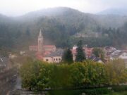 Albero crolla tra Calizzano e Bardineto, stop alla viabilità Albero crolla tra Calizzano e Bardineto, stop alla viabilità