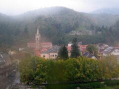 Albero crolla tra Calizzano e Bardineto, stop alla viabilità Albero crolla tra Calizzano e Bardineto, stop alla viabilità