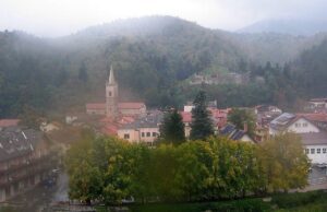 Albero crolla tra Calizzano e Bardineto, stop alla viabilità Albero crolla tra Calizzano e Bardineto, stop alla viabilità