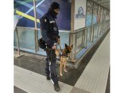 Droga in metro a Genova: maxi sequestro e due arresti Droga in metro a Genova: maxi sequestro e due arresti