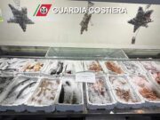 Operazione Fish_Net, controlli sulla filiera della pesca in Liguria Operazione Fish_Net, controlli sulla filiera della pesca in Liguria