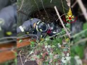 Cane salvato da un pozzo a Branega dopo cinque giorni Cane salvato da un pozzo a Branega dopo cinque giorni