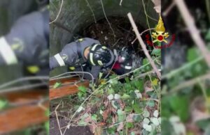Cane salvato da un pozzo a Branega dopo cinque giorni Cane salvato da un pozzo a Branega dopo cinque giorni
