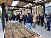 Genova ottiene fondi regionali per nuove pensiline verdi Genova ottiene fondi regionali per nuove pensiline verdi