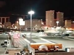 Fuga al porto: marocchino investe vigilante, maxi multa Fuga al porto: marocchino investe vigilante, maxi multa